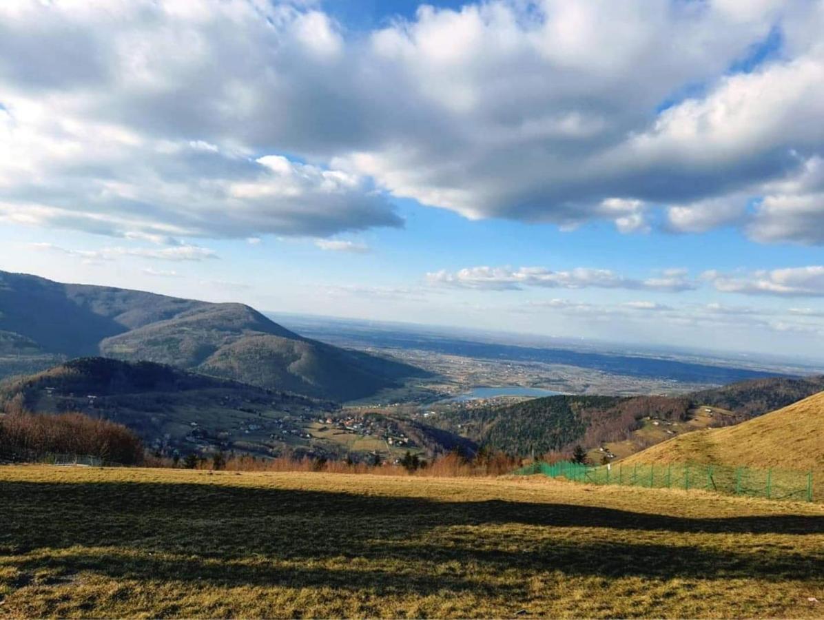 Domki Nad Jeziorem Zarzecze  Exteriör bild