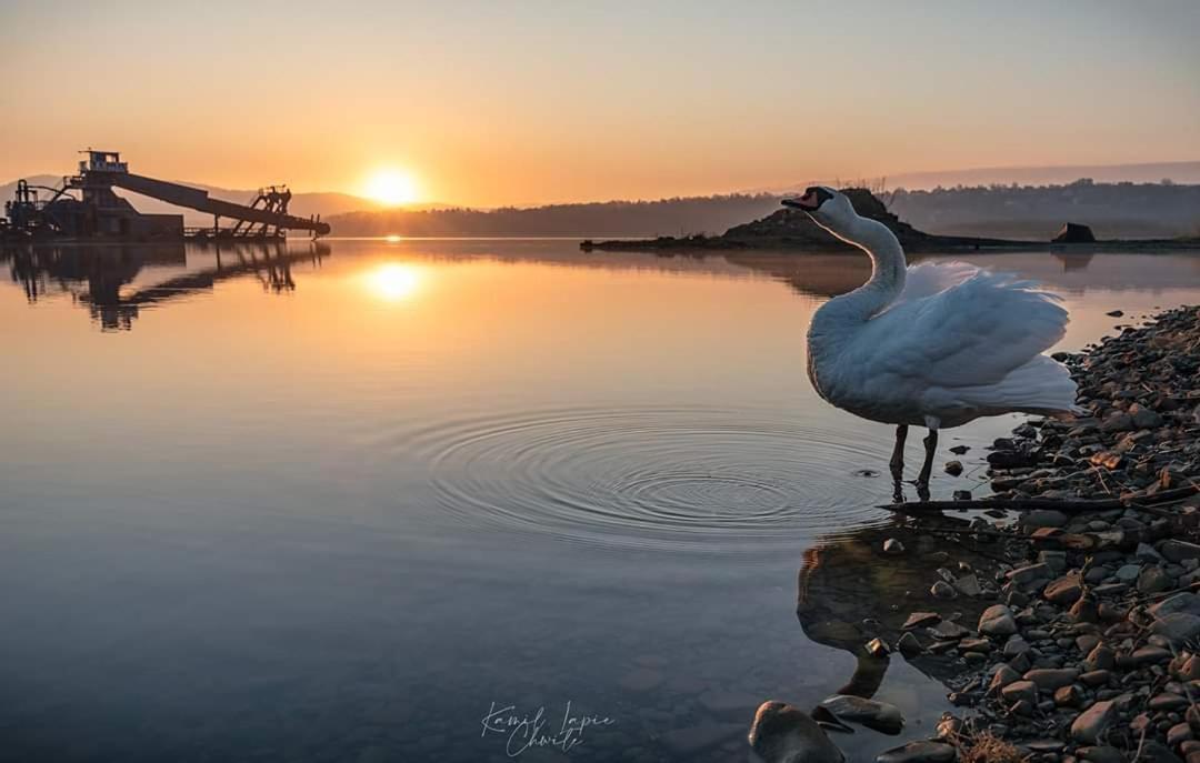 Domki Nad Jeziorem Zarzecze  Exteriör bild